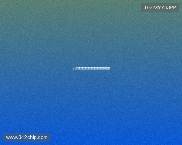 Z6人生：打造个人品牌，提升社会影响力的实用建议